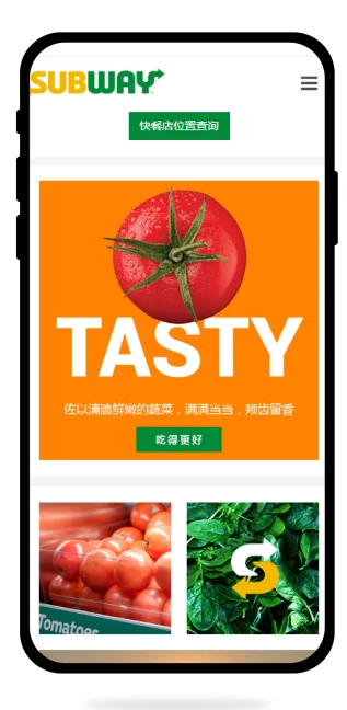 Subway China portfolio project